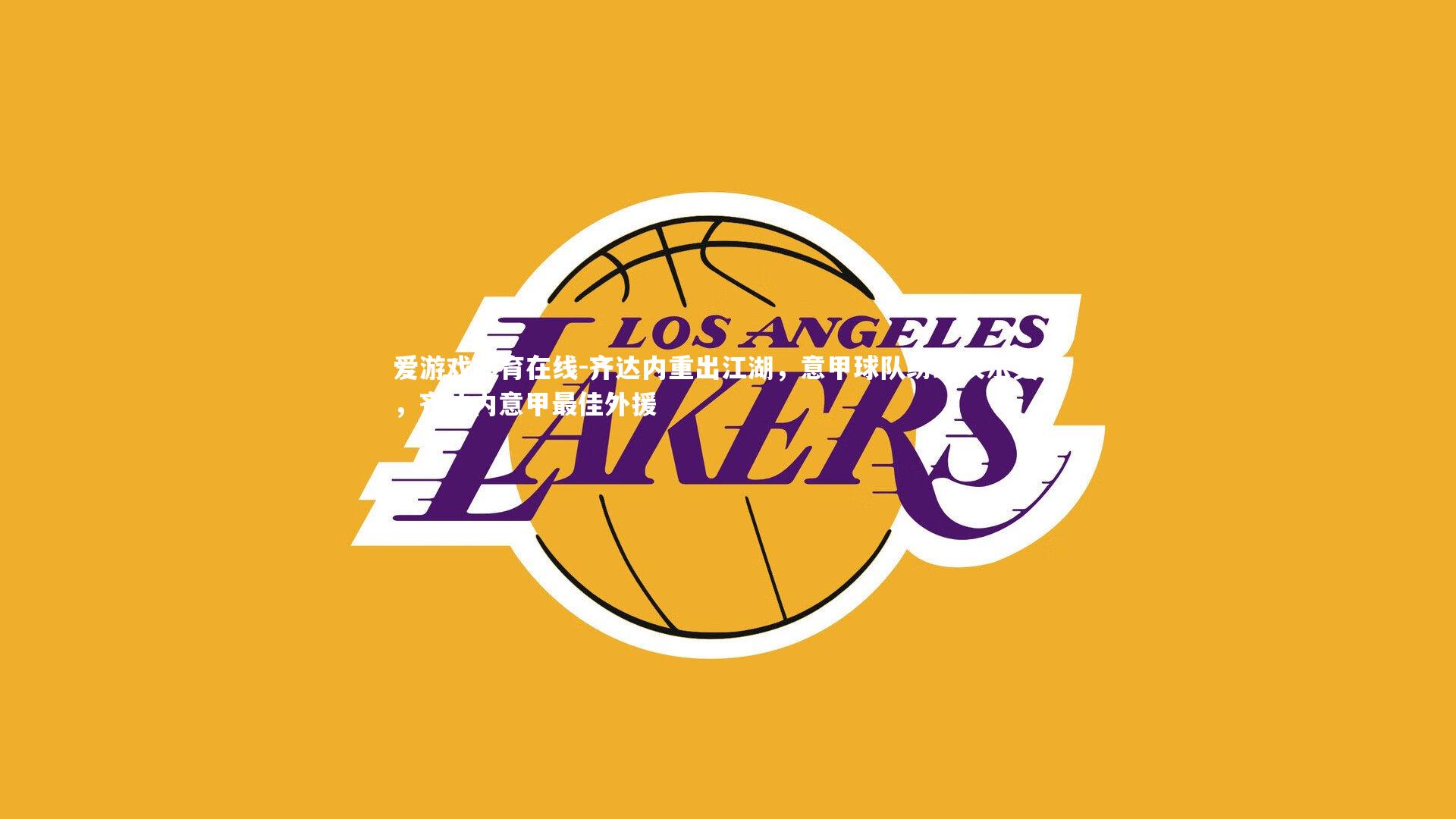 齐达内重出江湖,意甲球队纷纷表示关注,齐达内意甲最佳外援